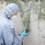 A Guide To Understanding The Mold Remediation Process